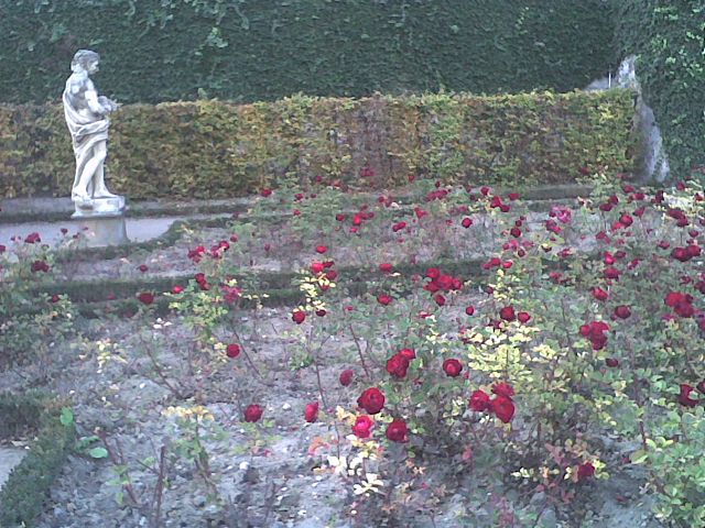 Bild 14